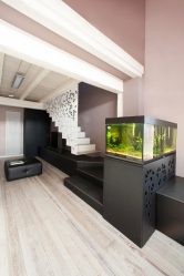 Aquário no interior de um apartamento ou casa: 145+ (Foto) tipos de decoração de seu design (canto, seco, parede divisória, pequeno)