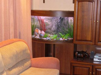 Aquário no interior de um apartamento ou casa: 145+ (Foto) tipos de decoração de seu design (canto, seco, parede divisória, pequeno)