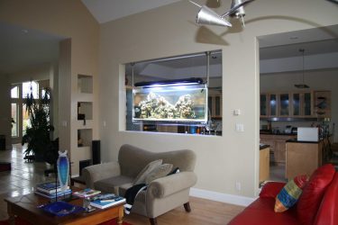 Aquário no interior de um apartamento ou casa: 145+ (Foto) tipos de decoração de seu design (canto, seco, parede divisória, pequeno)