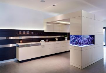 Aquário no interior de um apartamento ou casa: 145+ (Foto) tipos de decoração de seu design (canto, seco, parede divisória, pequeno)