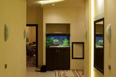 Aquário no interior de um apartamento ou casa: 145+ (Foto) tipos de decoração de seu design (canto, seco, parede divisória, pequeno)