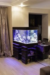 Aquário no interior de um apartamento ou casa: 145+ (Foto) tipos de decoração de seu design (canto, seco, parede divisória, pequeno)