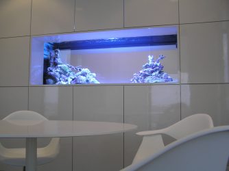 Aquário no interior de um apartamento ou casa: 145+ (Foto) tipos de decoração de seu design (canto, seco, parede divisória, pequeno)