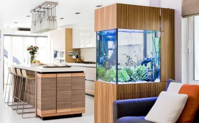Aquário no interior de um apartamento ou casa: 145+ (Foto) tipos de decoração de seu design (canto, seco, parede divisória, pequeno)
