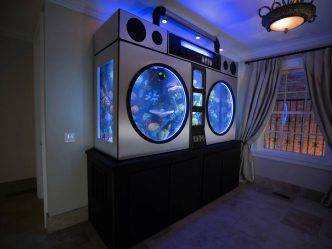 Aquário no interior de um apartamento ou casa: 145+ (Foto) tipos de decoração de seu design (canto, seco, parede divisória, pequeno)