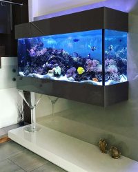 Aquário no interior de um apartamento ou casa: 145+ (Foto) tipos de decoração de seu design (canto, seco, parede divisória, pequeno)