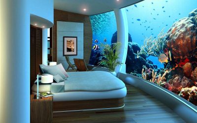 Aquário no interior de um apartamento ou casa: 145+ (Foto) tipos de decoração de seu design (canto, seco, parede divisória, pequeno)