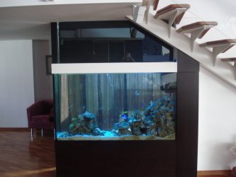 Aquário no interior de um apartamento ou casa: 145+ (Foto) tipos de decoração de seu design (canto, seco, parede divisória, pequeno)