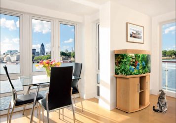 Aquário no interior de um apartamento ou casa: 145+ (Foto) tipos de decoração de seu design (canto, seco, parede divisória, pequeno)