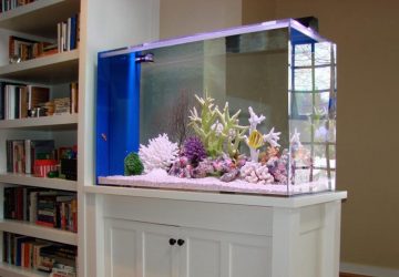 Aquário no interior de um apartamento ou casa: 145+ (Foto) tipos de decoração de seu design (canto, seco, parede divisória, pequeno)