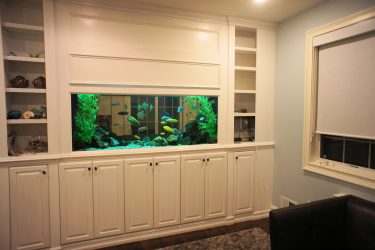 Aquário no interior de um apartamento ou casa: 145+ (Foto) tipos de decoração de seu design (canto, seco, parede divisória, pequeno)