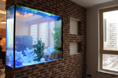 Aquário no interior de um apartamento ou casa: 145+ (Foto) tipos de decoração de seu design (canto, seco, parede divisória, pequeno)