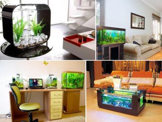 Aquário no interior de um apartamento ou casa: 145+ (Foto) tipos de decoração de seu design (canto, seco, parede divisória, pequeno)