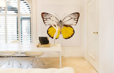 Lindas borboletas na parede faça você mesmo: 140+ (Foto) decorações no interior (papel, volumétrico, adesivos)