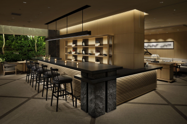 Bar para garrafas no interior do apartamento ou casa - Como melhor fazer? 120+ (foto) de uma árvore, andar, angular