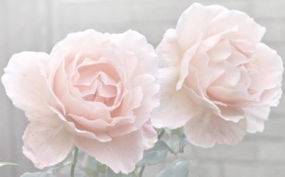 Como fazer artesanato em massa com suas próprias mãos? 6 master classes passo-a-passo para sua decoração