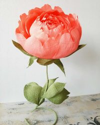 Como fazer artesanato em massa com suas próprias mãos? 6 master classes passo-a-passo para sua decoração