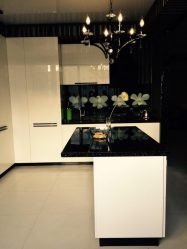 Nova tendência no mundo da cozinha - Cozinha preta no interior (mais de 220 combinações de fotos no design)