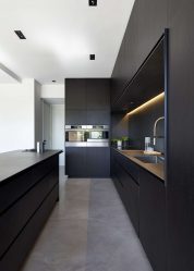 Nova tendência no mundo da cozinha - Cozinha preta no interior (mais de 220 combinações de fotos no design)