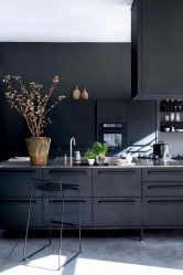 Nova tendência no mundo da cozinha - Cozinha preta no interior (mais de 220 combinações de fotos no design)