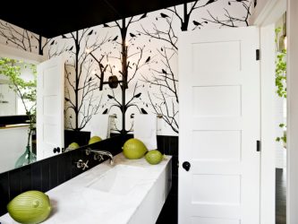 Elegante, Conforto e Beleza (mais de 170 fotos): interior em preto e branco (sala de estar, quarto, cozinha)