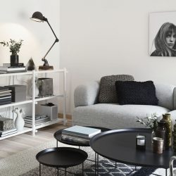Elegante, Conforto e Beleza (mais de 170 fotos): interior em preto e branco (sala de estar, quarto, cozinha)