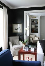 Elegante, Conforto e Beleza (mais de 170 fotos): interior em preto e branco (sala de estar, quarto, cozinha)