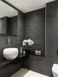Elegante, Conforto e Beleza (mais de 170 fotos): interior em preto e branco (sala de estar, quarto, cozinha)