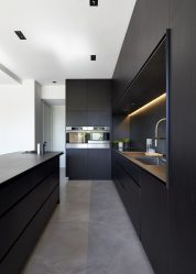 Elegante, Conforto e Beleza (mais de 170 fotos): interior em preto e branco (sala de estar, quarto, cozinha)