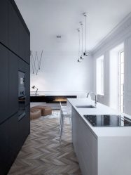 Elegante, Conforto e Beleza (mais de 170 fotos): interior em preto e branco (sala de estar, quarto, cozinha)