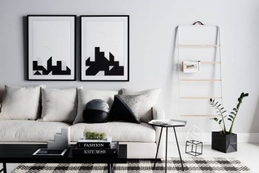 Elegante, Conforto e Beleza (mais de 170 fotos): interior em preto e branco (sala de estar, quarto, cozinha)