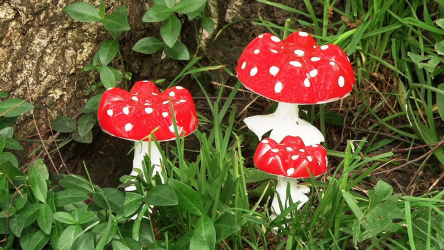 O que pode ser feito de garrafas plásticas com as próprias mãos: 12 instruções passo a passo