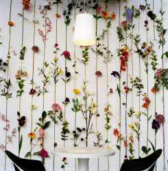 Fazendo idéias originais de decoração de parede com suas próprias mãos - 200+ (foto) para a cozinha, sala de estar, quarto