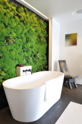 Fazendo idéias originais de decoração de parede com suas próprias mãos - 200+ (foto) para a cozinha, sala de estar, quarto