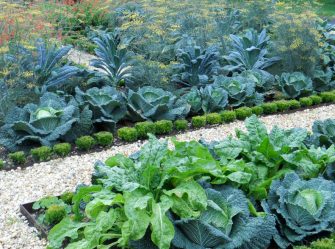Paisagismo para o jardim faça você mesmo (mais de 185 fotos). Estilos que você deve conhecer