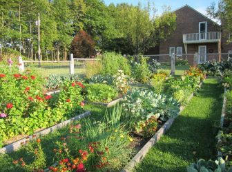 Paisagismo para o jardim faça você mesmo (mais de 185 fotos). Estilos que você deve conhecer