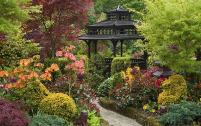 Paisagismo para o jardim faça você mesmo (mais de 185 fotos). Estilos que você deve conhecer