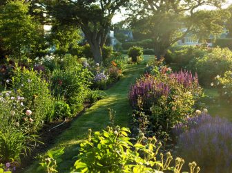 Paisagismo para o jardim faça você mesmo (mais de 185 fotos). Estilos que você deve conhecer