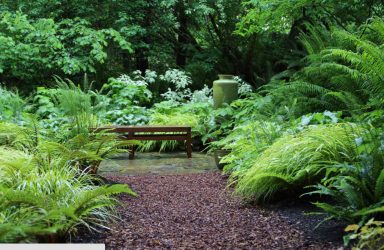 Paisagismo para o jardim faça você mesmo (mais de 185 fotos). Estilos que você deve conhecer