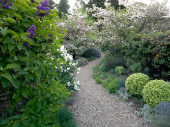 Paisagismo para o jardim faça você mesmo (mais de 185 fotos). Estilos que você deve conhecer