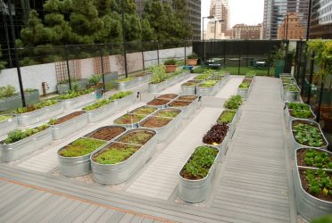 Paisagismo para o jardim faça você mesmo (mais de 185 fotos). Estilos que você deve conhecer