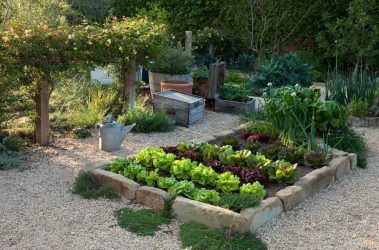 Paisagismo para o jardim faça você mesmo (mais de 185 fotos). Estilos que você deve conhecer