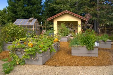 Paisagismo para o jardim faça você mesmo (mais de 185 fotos). Estilos que você deve conhecer