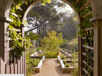 Paisagismo para o jardim faça você mesmo (mais de 185 fotos). Estilos que você deve conhecer