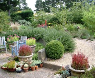 Paisagismo para o jardim faça você mesmo (mais de 185 fotos). Estilos que você deve conhecer