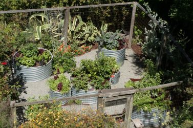 Paisagismo para o jardim faça você mesmo (mais de 185 fotos). Estilos que você deve conhecer