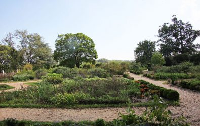 Paisagismo para o jardim faça você mesmo (mais de 185 fotos). Estilos que você deve conhecer