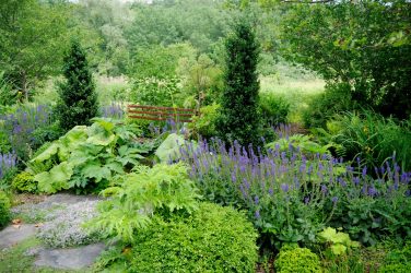 Paisagismo para o jardim faça você mesmo (mais de 185 fotos). Estilos que você deve conhecer