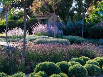 Paisagismo para o jardim faça você mesmo (mais de 185 fotos). Estilos que você deve conhecer