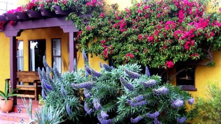 Paisagismo para o jardim faça você mesmo (mais de 185 fotos). Estilos que você deve conhecer